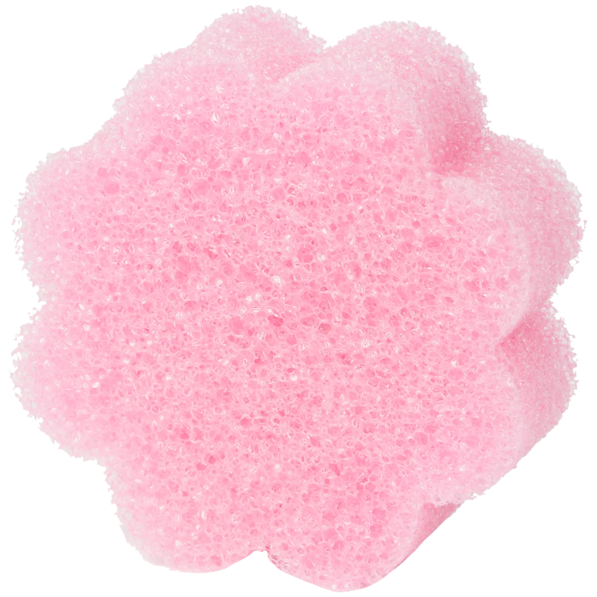 Esponja CleanRite Super Scrubby – 1 unidades